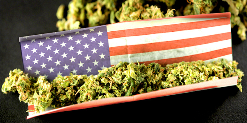 USA Marijuana