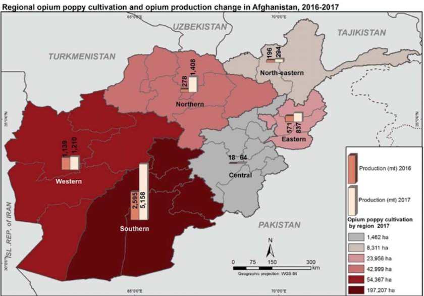 Každý región v Afganistane zaznamenal zvýšenie v pestovaní vlčieho maku v roku 2017. Zdroj: UNODC