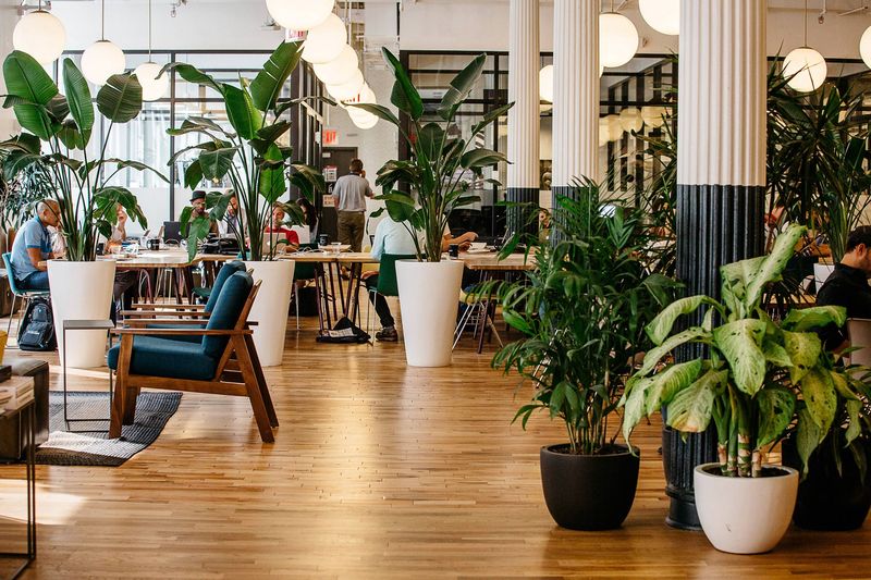 Pracovný priestor v centrále firmy WeWork v New Yorku.