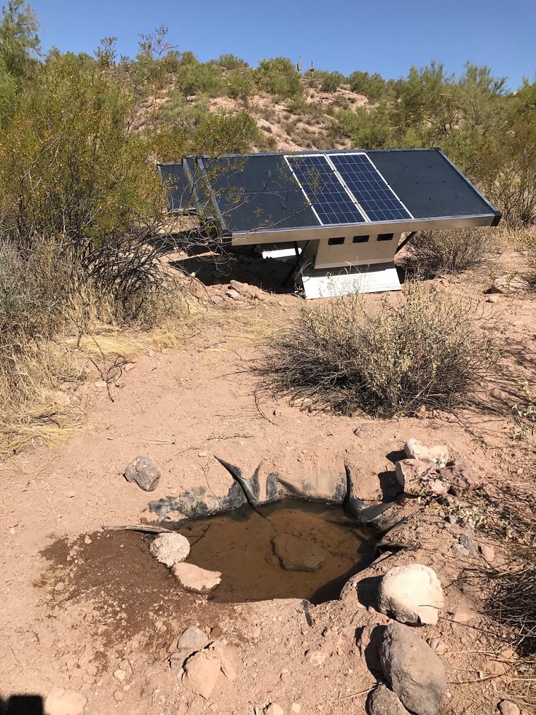Source s vodou pre voľne žijúce živočíchy v Arizonskej púšti.